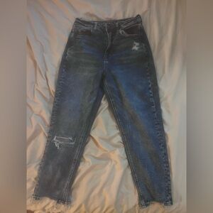 American Eagle Mom Jeans